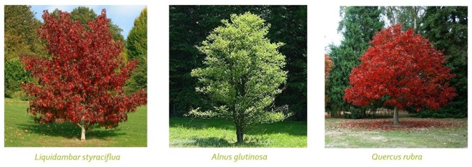 72975976_2498198466967061_283071003737718784_n