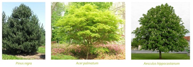 73352293_2498199990300242_4929075670580985856_o