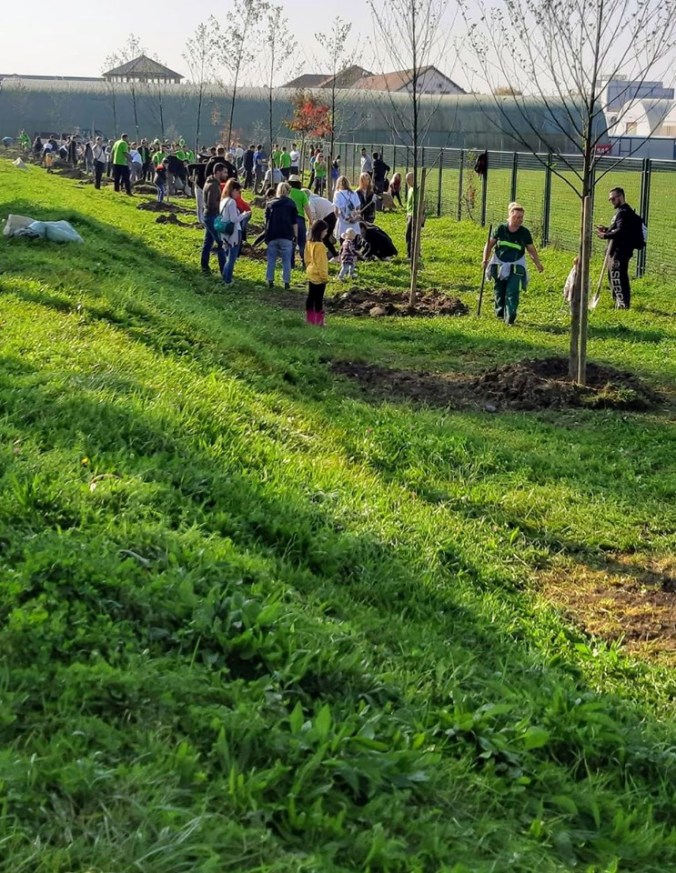 74230450_745901892548338_6805128148661829632_n