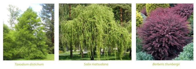 74431529_2498200960300145_3258008856118165504_o