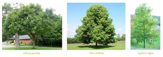 74852053_2498200480300193_7334714980811407360_o