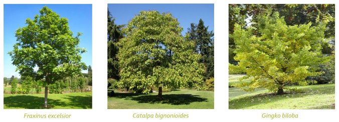 75282258_2498199143633660_3232454371937615872_o