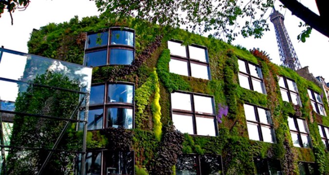 1_Moss-growing-concrete-CO2